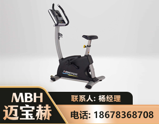 大兴安岭立式健身车